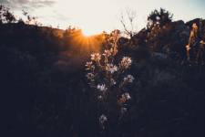 Julie ROUX - JULIE ROUX PHOTOGRAPHE